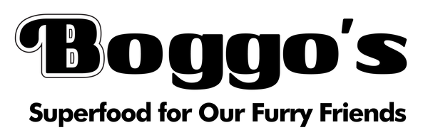 Boggos Africa