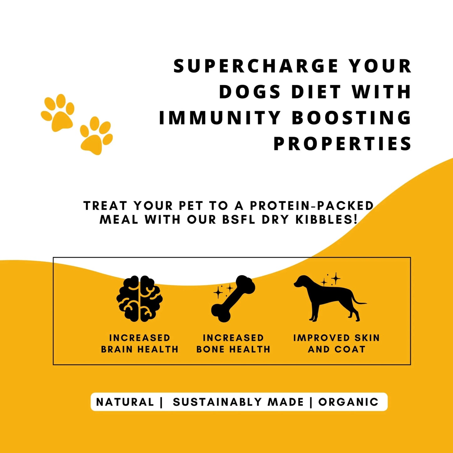 Boggos Trial Pack – 100g Sample | Chicken + BSFL | Delicious Taste, Vet-Formulated Nutrition!