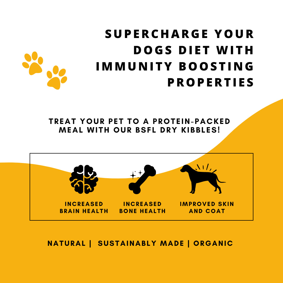 Boggos Premium Dog Food for Adult Dogs (1.2 kg) | Powered by Superfoods & BSFL | Complete, Balanced, Vet-Trusted Nutrition